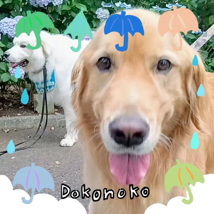 9654c7be 6723 4f5d 9efb 45b147f9e7fb 1717975075811