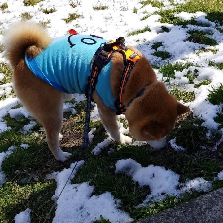 9654e51f 6327 423d bfae 4d400a6cd51b 1584446647956