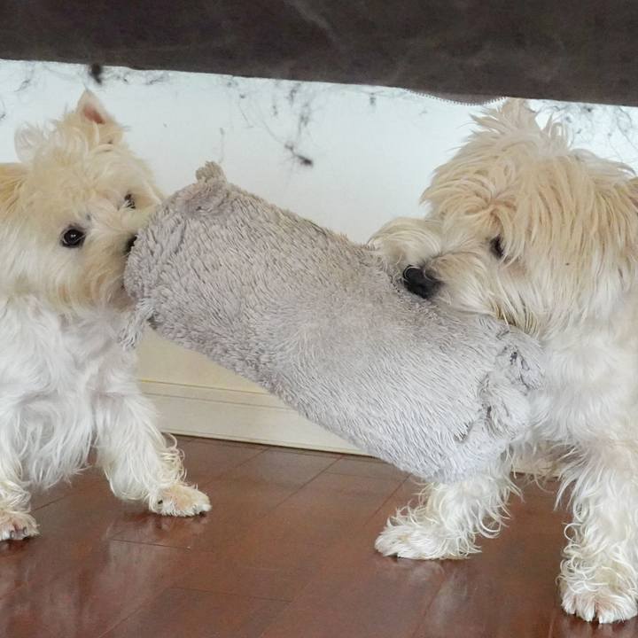 9654f26f db0a 4c42 962b f9fa01e446b9 1537271328692