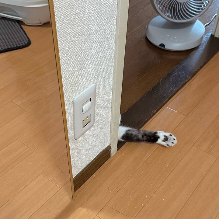 9654f336 7df8 4d7c a176 6efcfe971329 1754012864750