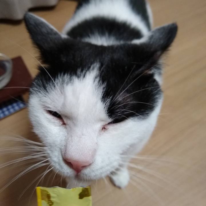 9655758b c7b2 4805 9bc2 ebb65936903f 1565265707034