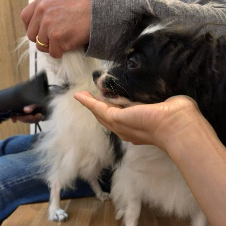 9655a0d3 760b 4e57 b506 3bb1800fb79b 1507943377116