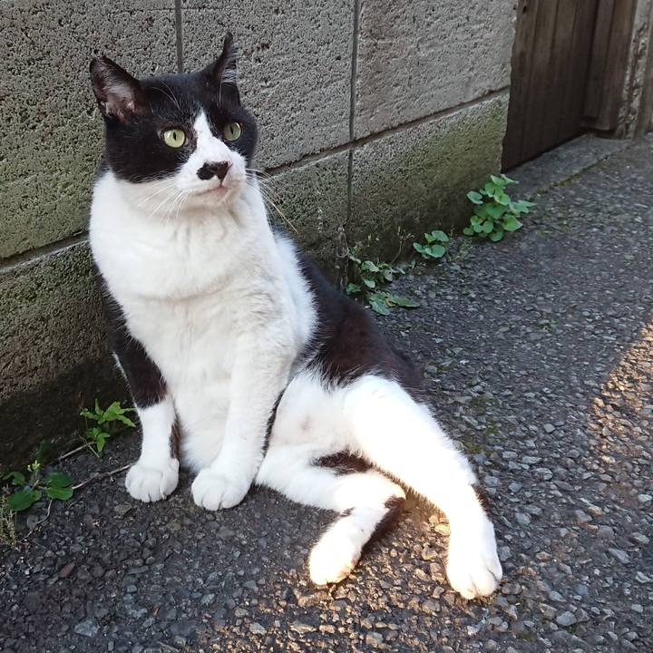 9655ab33 8dee 48a1 b70e 467b35daffc1 1597136595653