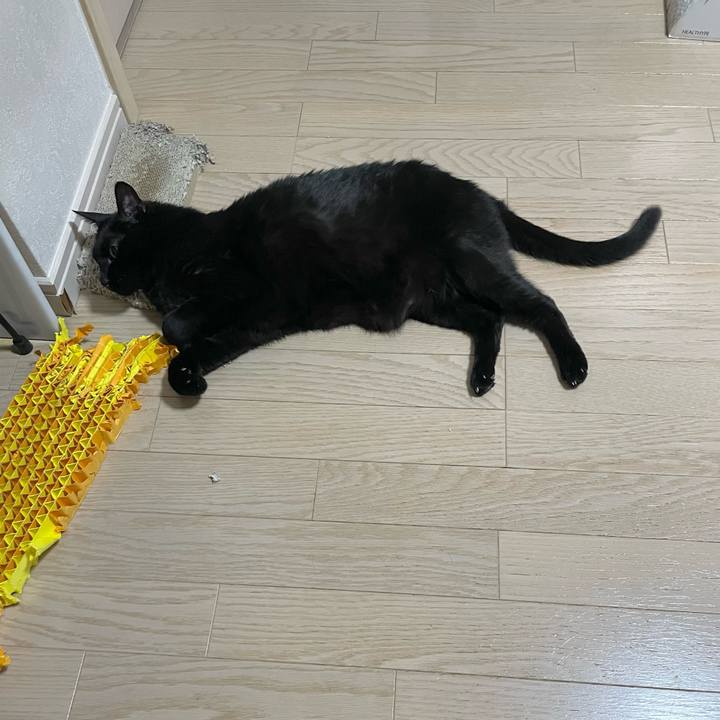 9655b266 5fc9 4485 9cc1 40a22cec66c6 1752153405969