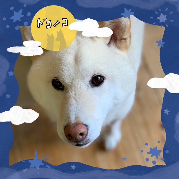 9655bd76 ae9f 4227 870a 56304d954762 1726841466798