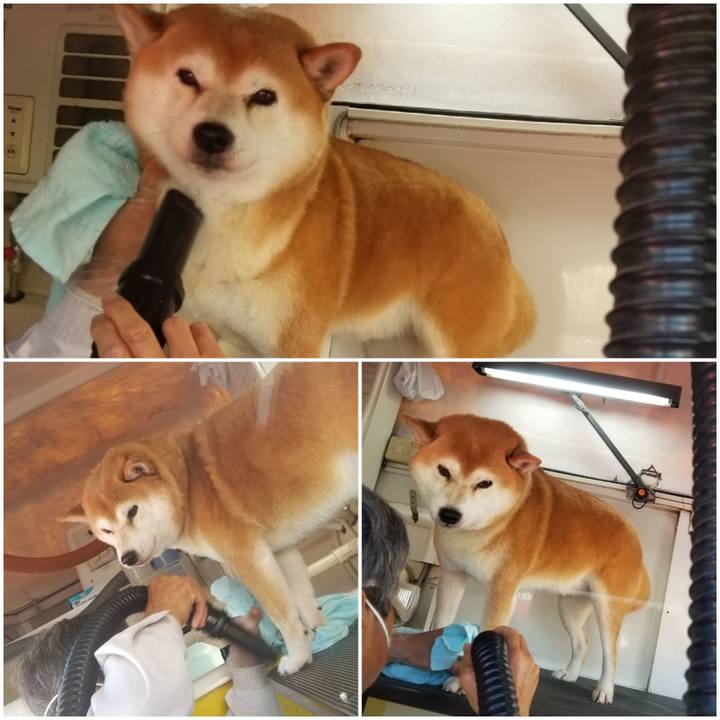 9655ca3b 54c6 4ff8 b4a0 fab08a610525 1569982814863