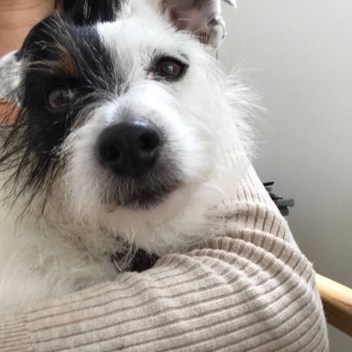 9655dd02 3138 4fd1 ac4f c592a10685ff 1522982446551