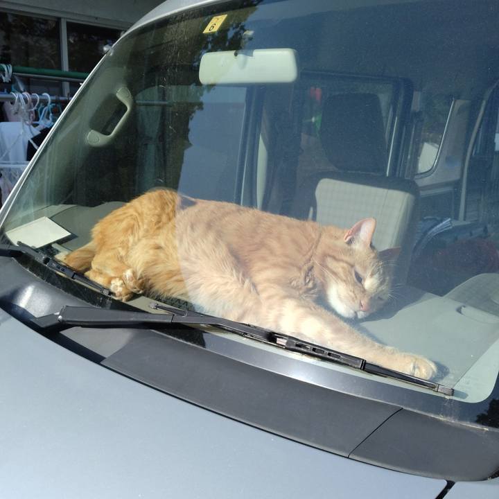 96562716 2658 479b 87d5 d1726e8f324a 1715934124396