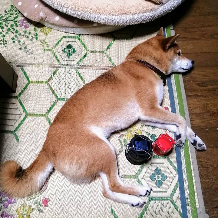 96562f10 0041 431d ab60 00853a4790cc 1625914705637