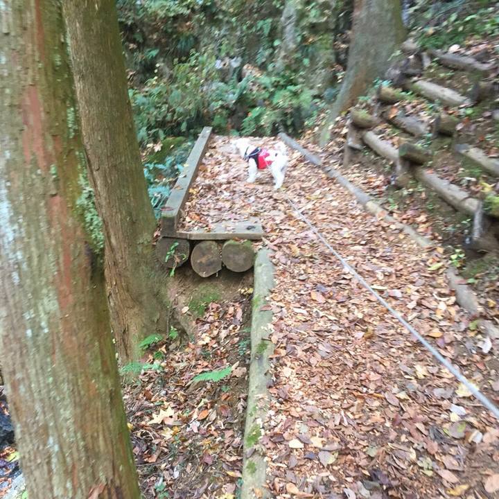 96568af7 68f1 4305 b86d 6ddbbde2dceb 1511263263872