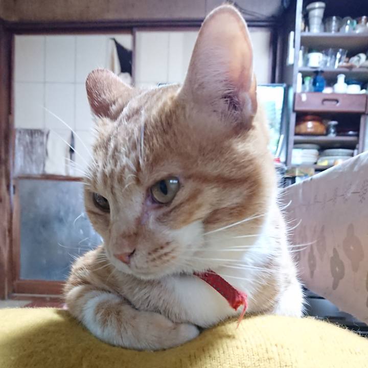 96568d57 f2ba 408e 9e61 f369aeb656de 1573264003315