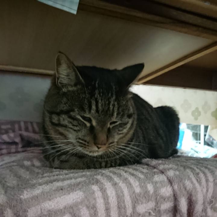 9656ad30 29ed 4ea5 953c 78a27eec8a9e 1640813164230