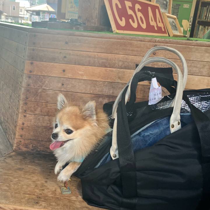 9656db80 143d 4327 b589 cbba818977f9 1756681935135