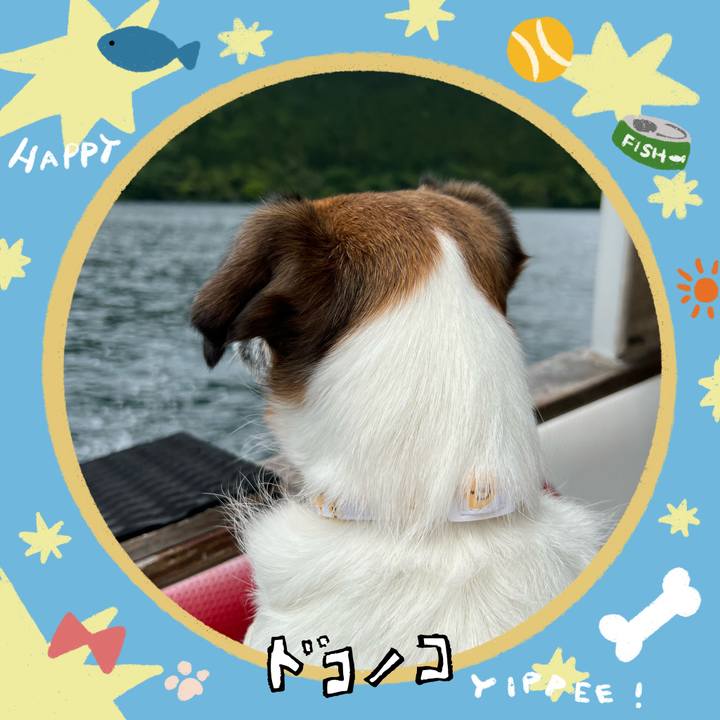 9656fc9b 6dca 48e3 9451 c52c4c7818c9 1720777888892