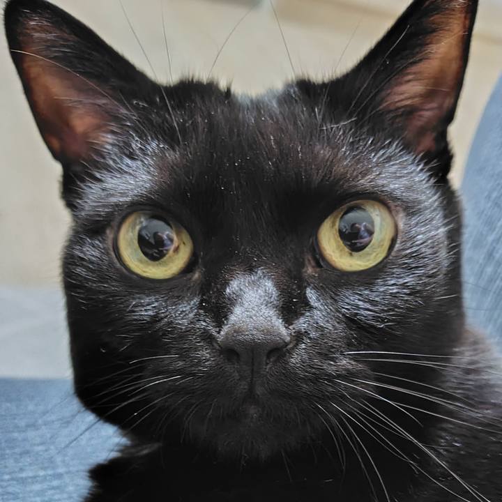 9657040d 3290 485c 8c2d 62a44a5c8e47 1755862410573