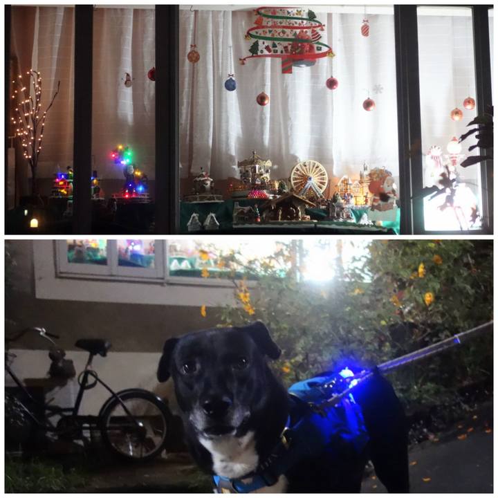 96572d80 d6e8 4743 a1e6 35df8a9a709a 1668508807804