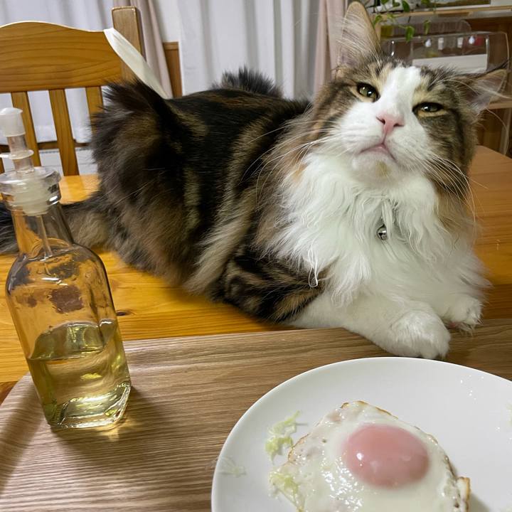 96573195 df8f 4076 8485 700073e9f4c6 1644180425931