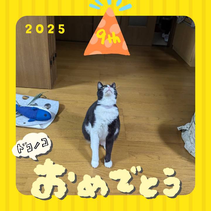 965738fb fbf9 41b3 8aa9 528cd0d75330 1749281434036