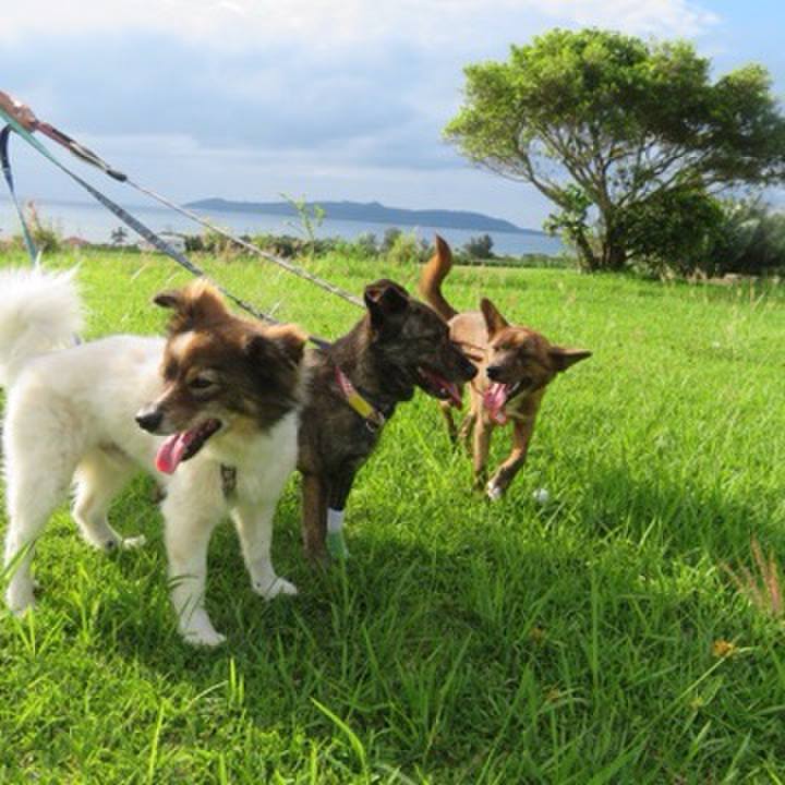 9657648b bfeb 49da 8325 8adce03c70fe 1590634543508