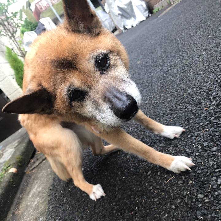 96576785 72e7 4b04 8e01 57813be50702 1560291211584