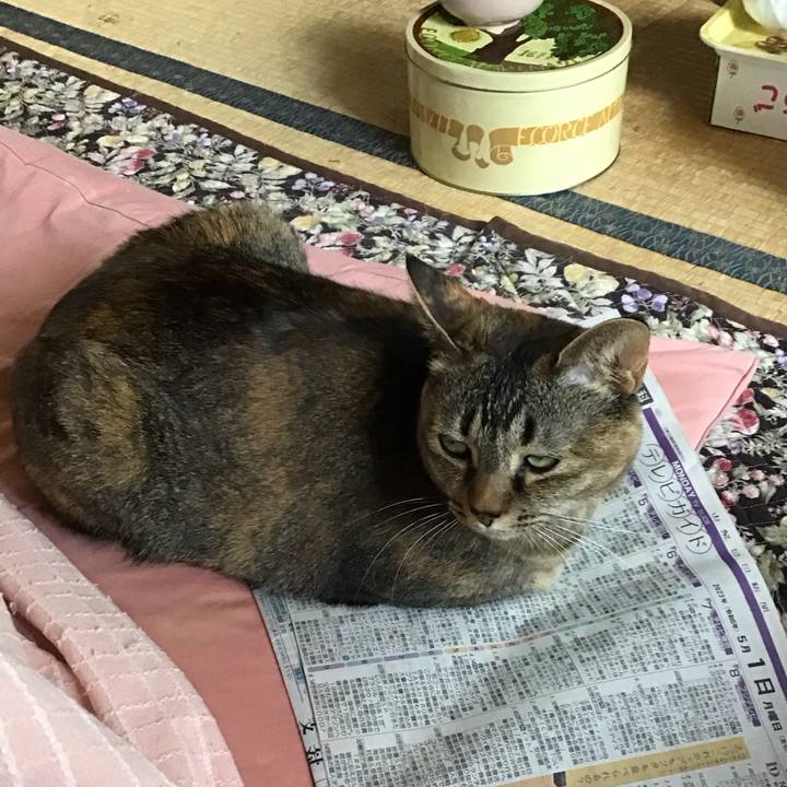 9657c9a8 c173 4367 be70 88620e1a63e2 1682940465947