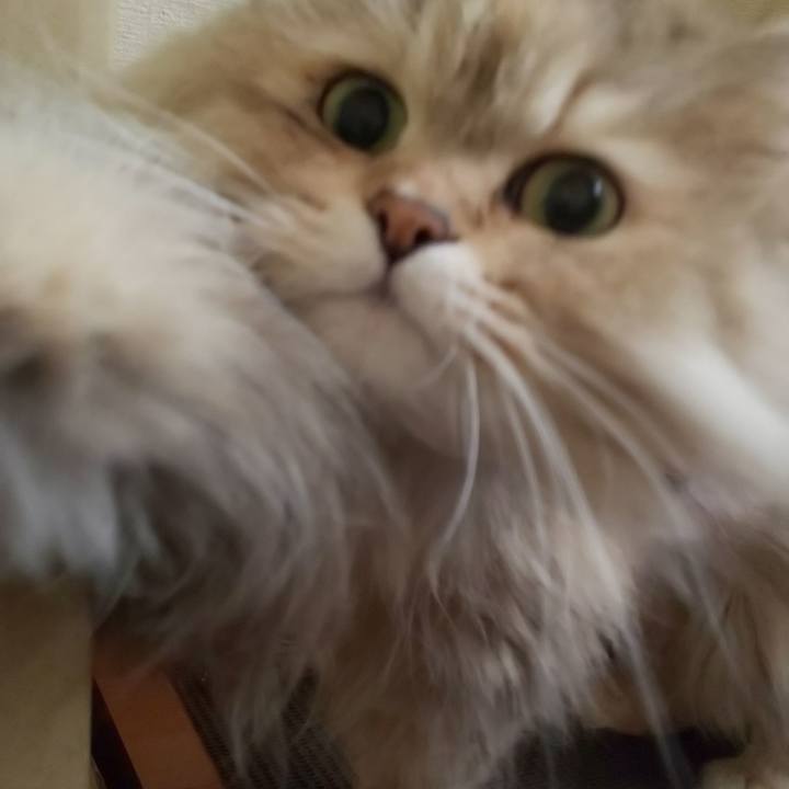 9657d3c2 e94c 434f b5f2 02ff8e6114c8 1617445799947