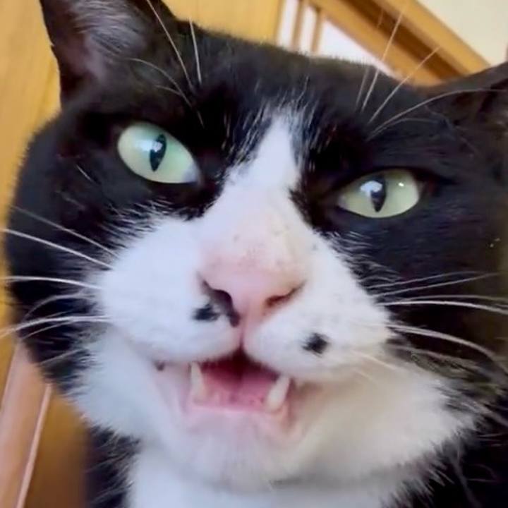 9657f990 0d4f 4069 9291 0b697eddd4ac 1749005394114