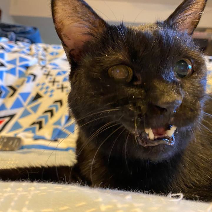 9657fbeb 379c 45f0 9e4e 066c7fe49909 1665562910991