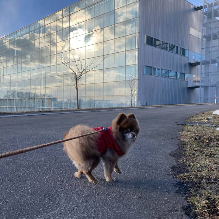 9658148a 4b03 423f a184 9b2d2b191eae 1647847711936