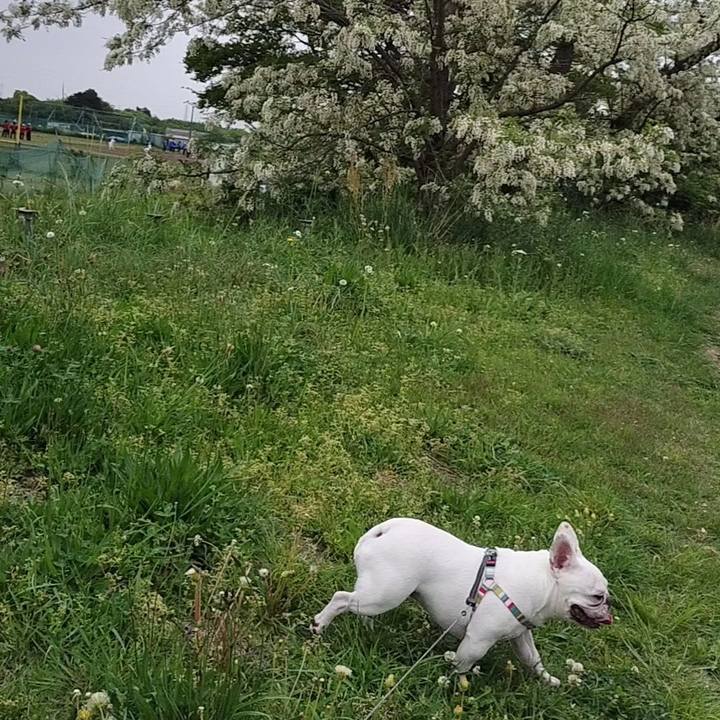 96584104 0af8 4bf3 8a12 b1bfeac78a56 1682160931634