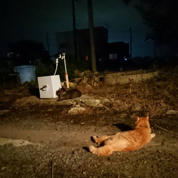 965878c0 1bad 4f68 8e3e f6257ae672fc 1658836543485