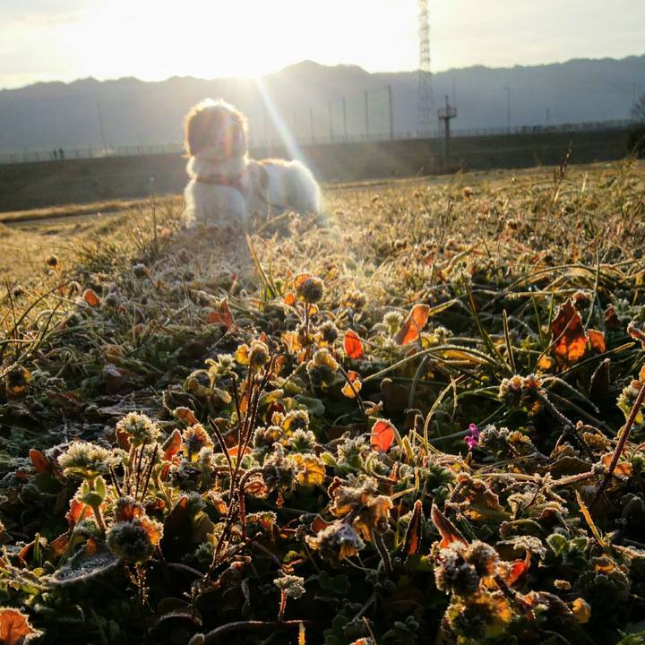 965883fc 7be7 4787 9497 752891d812af 1550215200684