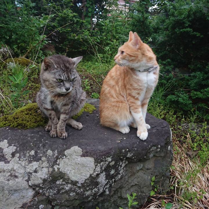 9658bc13 3720 4dac 844d 3289c0449288 1593202980368