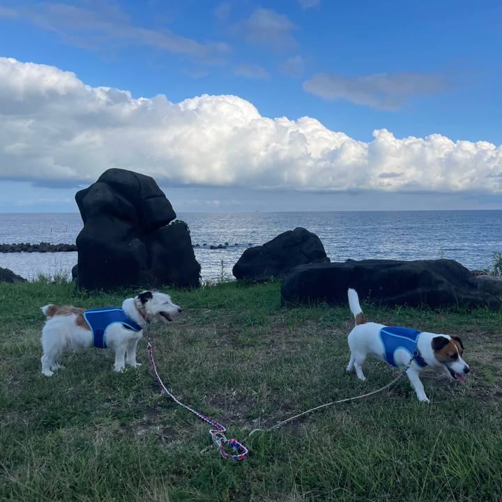 9658c076 ed73 4624 a68c df0ba4e4595b 1723246610847