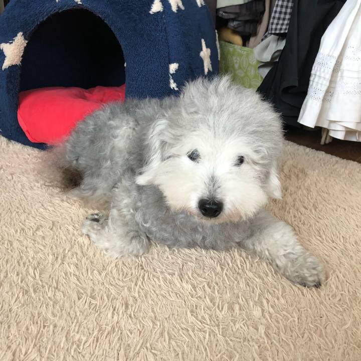 9658f71b 6623 4ba3 aae3 3af2e31ba68c 1658282767230