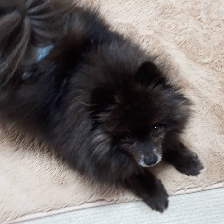 96592485 f338 46d3 b6bd 3c61e01202c5 1517603179940