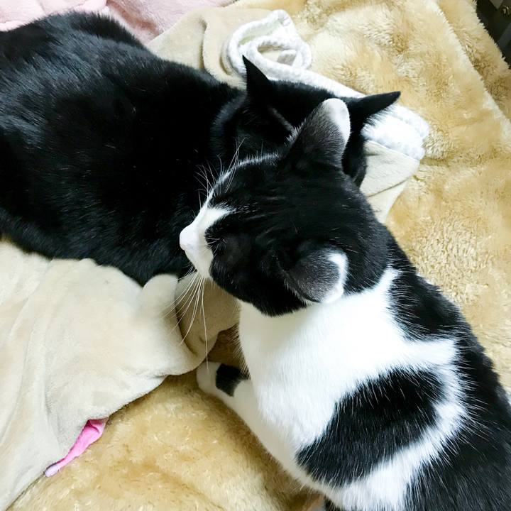 96593bea b11d 45a0 8703 239ab0c98a14 1514298065527