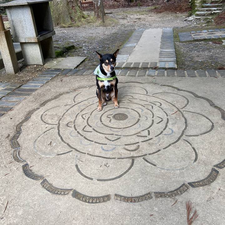 965946e6 e833 4cdc a10c 327c0296df32 1615379403925