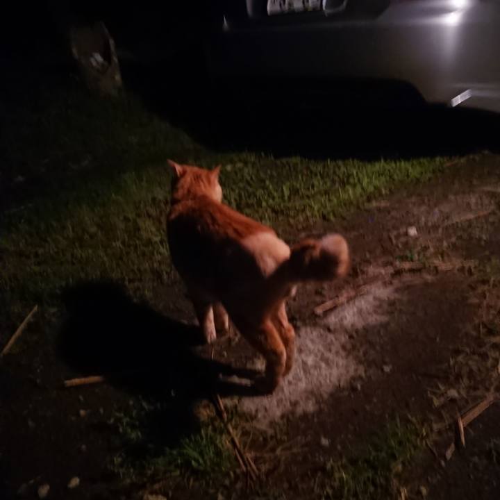 96595481 6681 4bdd 9315 571e9c107693 1655033884764