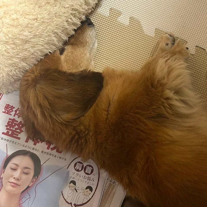 96596dd3 83c2 40a3 82c8 dfb784d32579 1645095488100