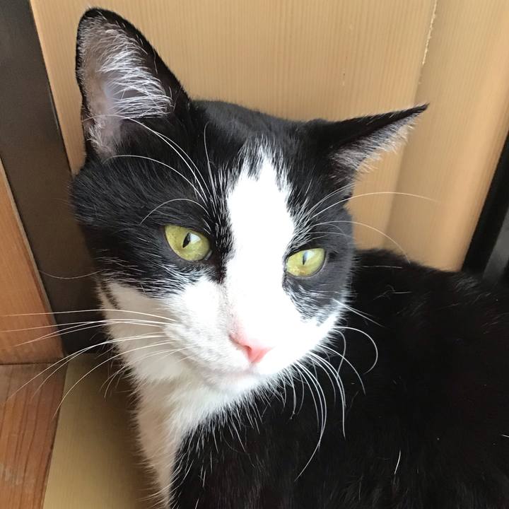 965999c3 9b6d 4744 97d4 0f7ffce836a9 1724480158572