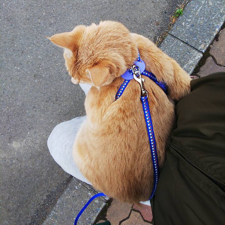 9659e211 f44d 4768 9794 220eb0c4efc7 1587460218914