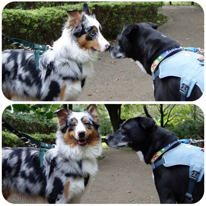 9659e7e1 3336 44cd 831b f21c3f855f5c 1727137422391