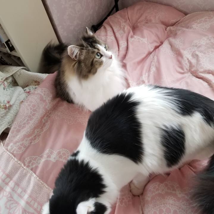 965a02ba 33d5 4a2d ba89 70f9a54dcc62 1551189002161