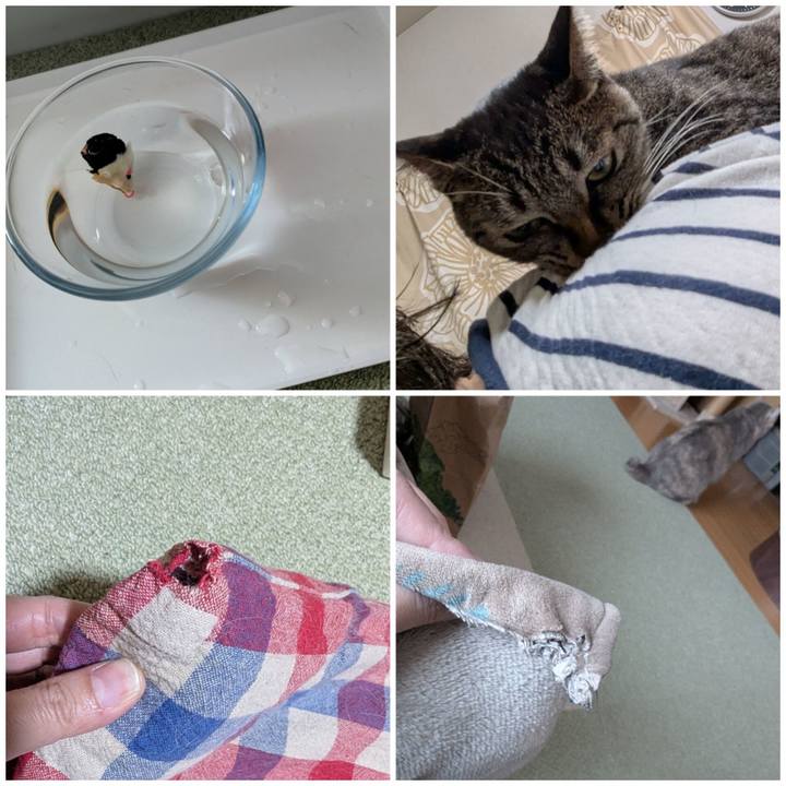 965a4a6a 3412 49fd b84d ced90b2ab988 1766917384860