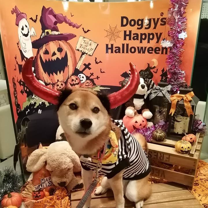 965a519a 6212 4fdf ac0c cb5fd773f4a0 1635155583548