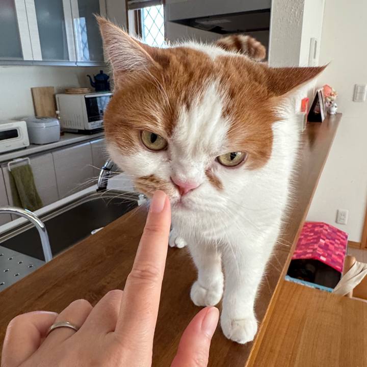 965a875d 9766 4f0b 9687 d3de7d918d72 1767840516807