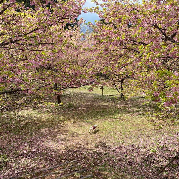 965a900f 0019 4f6e b2e9 701e6df7a272 1647854614126