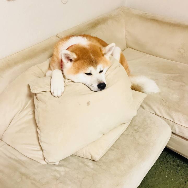 965a98a3 b9be 4862 b16f da46a5f875c3 1508670061618