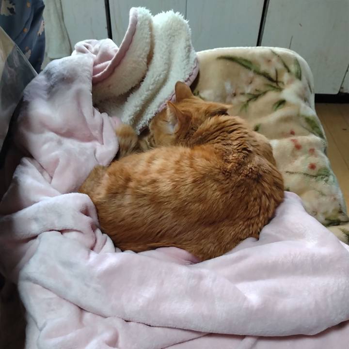 965ac080 761e 4ff1 a9be b65cd1de8cfb 1674435975678